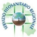 Bollettino fitosanitario n. 6 del 28 marzo 2018
