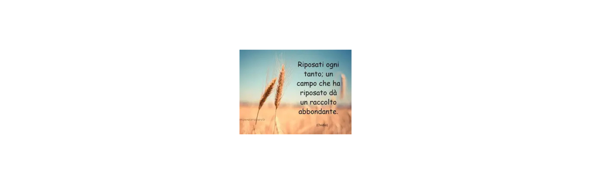 riposati immagine