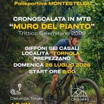 Immagine della card