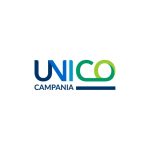 Immagine della card